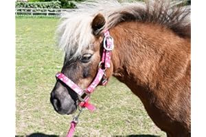 Rhinegold - Cavezza Imbottita con Unicorno e cordicella Abbinata