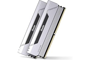 BIWIN Black Opal HX100 Mémoire RAM DDR5 32 Go (2 x 16 Go) 6000 MHz CL30 pour Ordinateur Portable XMP 3.0 AMD Expo Compatible Intel XMP Argenté