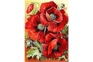 MXJSUA Kit de Peinture Strass 5D au numéro à Faire soi-même, Motif Coquelicots, avec Strass à Coller Style Broderie au Point de Croix, pour décoration Murale, 25 x 30 cm