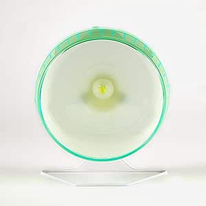 Kaytee Spinner, Giant Wheel, 12 Inch (Colours Vary)