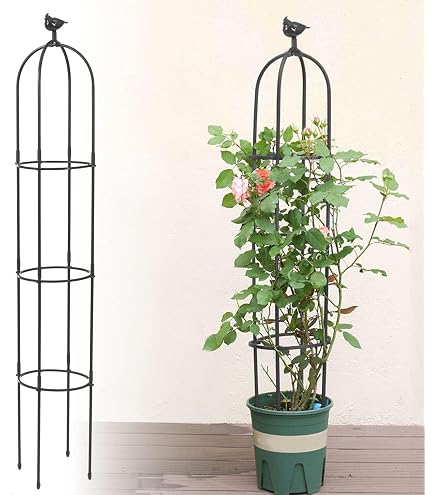 Treillis de rosiers d'extérieur pour plantes grimpantes - Treillis de plantes en acier en forme de parapluie - Clématites de rosiers d'extérieur - Vigne soutient la tour de plantes, flèche Treillis de rosiers d'extérieur pour plantes grimpantes - Treillis de plantes en acier en forme de parapluie - Clématites de rosiers d'extérieur - Vigne soutient la tour de plantes, flèche