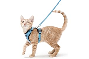 rabbitgoo Cat Harness and Leash 150cm, Anti-Escape Cat Harness Adjustable, Cat Harness Reflective of Soft and Breathable, Cat Harness for Kitten Small Dogs, XS, Light Blue