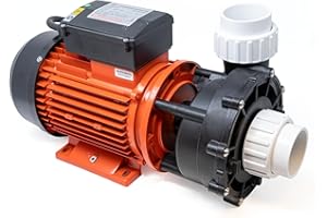 CANADIAN SPA CO. WP300-II Massage Pump, 2-Stage, 2 to 2 Inch Connection, 730 Liters per Minute, Water Care