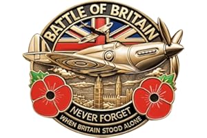GET1 RAF Royal Air Force Battle of Britain Poppy Badge - Never Forget - UK Seller