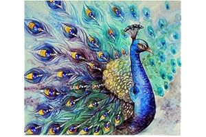 OWN4B Cross Stitch Kits Stamped, Beautiful Blue Peacock Birds Animals Pre Printed Pattern 11CT 14.2x18.1 inch DIY Embroidery Kit (Peacock)