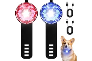 BORDEAG Luz intermitente LED de seguridad, 2 piezas colgante de luz para perros, luces de seguridad para mascotas con 3 modos de iluminación, luz de seguridad, recargable por USB, impermeable, colgante de luz