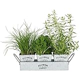 albena shop 73-156 Trudi 3er Set Pflanztöpfe Kräutergarten mit Tablett Zink 42,5 x 11 x 10,5 cm