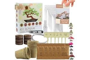 LOUISE & GASTON L&G | Kit Bonsai Intérieur Complet – Idée Cadeau Jardinage avec 6 Graines à Faire Pousser et Accessoires de Qualité | Fait en France