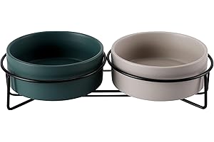 PETTOM Ciotola Rialzate in Ceramica con Supporto per Gatti Cani Ciotole Doppia per Cane Gatto Animali Domestici Grandi o Piccoli per Cibo e Acqua (Verde+Grigio)