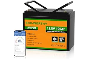 ECO-WORTHY Bluetooth litiumbatteri, 12 V, 100 AH, LiFePO4-batteri med lågtemperaturskydd, intelligent BMS, 1 280 Wh-energi, f