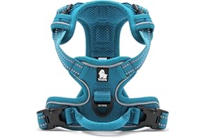 WINHYEPET True Love Dog Harness, No-Pull Reflective Pet Harness with 2 Leash Clips Adjustable Soft Padded Dog Vest with Easy Control Handle for Small Medium Large Dog TLH5651(Blue,L)