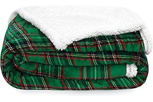 Caritex Coperta Plaid Tartan in Pile Coral e Sherpa - Dimensioni Varie W462 Una Piazza e Mezza 160x210 cm Verde