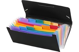 VIQUEL Trieur chèque RAINBOW CLASS noir avec 13 compartiments intérieur multicolore