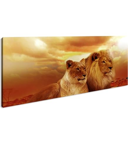 Leinwandbild „Anmutiger Tiger“ | 60x40 Cm, Fertig Auf Keilrahmen Gespannt, Made In Germany