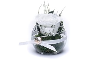 Rosen-Te-Amo | rosa eterna blanca perfumada en jarron de vidrio| San Valentin | Arreglo flores preservadas hecho a mano | follaje 100% natural | dia de la madre regalos originales para mujer