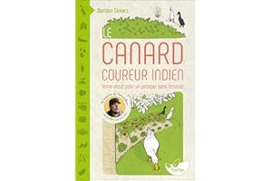 Le Canard coureur indien - Votre atout pour un potager sans limaces