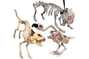 I LOVE FANCY DRESS ILOVEFANCYDRESS CAT SKELETON PROP WITH GLOWING EYES AND ADJUSTABLE LIMBS - MAKES TERRIFYING CAT SOUND - BATTERIES INCLUDED - PERFECT HALLOWEEN DECORATION FOR PARTIES OR ACCESSORY FOR COSTUMES