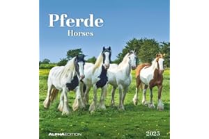 Pferde 2025 - Postkartenkalender 16x17 cm - Horses - zum Aufstellen oder Aufhängen - Monatskalendarium - Gadget - Mitbringsel - Alpha Edition