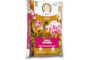 Or Brun Terreau Orchidées - 6L - Favorise La Croissance - Utilisable en Agriculture Biologique OBRTORC6U