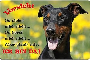 Nanyuk +++ Deutscher Pinscher - Metall Warnschild Schild Hundeschild Sign - DPI 02 T2
