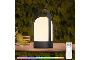 NiceBuy Lampe De Table Sans Fil Rechargeable USB Exterieur,8 Couleurs Dimmable LED Sans Fil Avec TéLéCommande,IP44 éTanche Pour Jardin ExtéRieur Restaurant Patio (Style F)