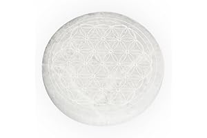 NKlaus Disco di Selenite Naturale Fiore della Vita 12cm Griglia Energetica Chakra Disc 15319