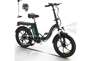COLORWAY Vélos électriques pliants - EBike de Ville avec Gros pneus 20×3,0, Moteur 250W et Batterie 36V 12Ah - pour Adultes Unisexes, 2 Modes de Conduite, écran Intelligent, jusqu'à 35-90 km.
