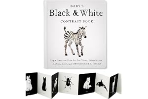 Baby's Black and White Contrast Book: High-Contrast Art for Visual Stimulation at Tummy Time: 4