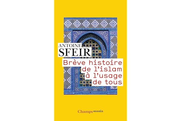 Brève histoire de l'islam à l'usage de tous