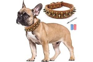 TVMALL Collare Cane Borchie Collare per Cani in Pelle Anti-morso con Regolabile Funghi Divertenti Borchie Collari per Esterni per Cani di Taglia Piccola e Media - Perforatore in Pelle Gratuiti, L