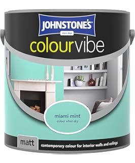 Johnstone S 389430 Wall Ceiling Matt Miami Mint 2 5 Litre Amazon Co Uk Diy Tools