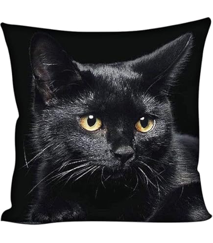 Loussiesd - Set Di Biancheria Da Letto Per Gatti Con Motivo Di Gattini Carini, Lenzuolo Con Angoli Adatto Per Ragazzi, Ragazze E Adolescenti, Copriletto Animale 3D, Misura Matrimoniale