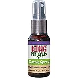 KONG - Naturals Catnip Spray for Cats - 1 Fluid Ounce