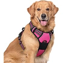 Hundegeschirr Für Große Hunde – Kein Entkommen, Mit Reflektierenden Nähten & D-Ring | Rosa