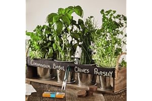 THOMPSON & MORGAN Chalk Board Herb Garden Gift Set - Easy to Grow Herb Seeds for Beginners - 1 X Herb Gift Set by Thompson and Morgan