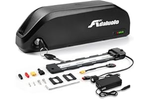 Adaluolo 48V Ebike Batteria 25AH Lungo Raggio Batteria bici Elettrica agli ioni di litio con Caricabatterie, Piastra di base 5 pin per 500W 750W 1000W 1200W 1500W 1800W Motore