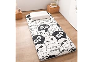 Danchen Japanische Futon-Matratze, weiche Tatami-Schlafmatte für Erwachsene, tragbar, faltbar, Camping-Auto-Pad, Schlafsaal, Gästebett, Matratze (120 x 190 cm, E)