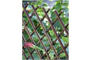 JARDIN202 - Celosía Extensible de Mimbre 1x2 Metros - Mejora Tu Jardín con Estilo | Sin Hoja Decorativa -