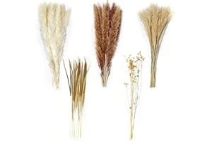 Houbobo 100Pcs Pampas Grass Boho Home Decor, Natural Phragmites Dried Flowers Bouquet, DIY Boho Plants for Wedding Floral Arrangements Home Decorations