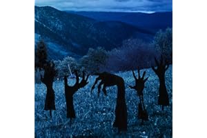 AIEX Black Hands Yard Signs, 5pcs Halloween Yard Signs Decorations Scary Halloween Decorations Scary Silhouett Halloween Decorations Outdoor for Yard Lawn Garden Party