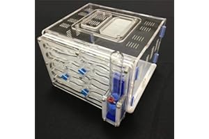 ant grape humedad de bricolaje grande 9color Disponible con nido de hormiguero, Hormiga Acrílica, Hormiguero Acrílico (White)