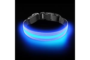PetIsay Ultimate LED Dog Collar - USB Rechargeable with Water Resistant - Reflective Light up Dog Collar Flashing Light - Adding Safety to Night-time Walks - 3 Colours, 3 Sizes(Royal Blue, Large)