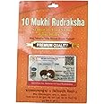 BHAKTI SHRINGAR 10 Mukhi Rudraksha Original Certified Lab Test & X-ray Report with Silver Capping| 10 Face Rudraksha Pendant
