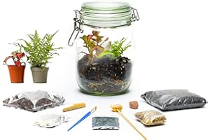 CONCRETELAB&CO Terrarium Kit With Fittonia Fern and Tools