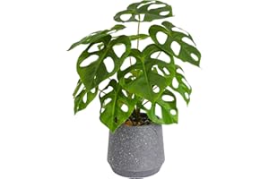 VERYHOME Artificial Plants Indoor Fake Succulents Plants in Potted 36cm Faux Tropical Palm Plant Faux Green Leaf Potted for Home Desk Living Room Decor