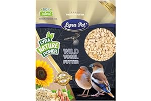 Lyra Pet® 25 kg de graines de cacahuètes hachées Blanches | Idéal pour Les Petits Oiseaux et Les Jeunes Animaux | Nourriture pour Oiseaux Sauvages pour l'été et l'hiver | Gras & Nutritif