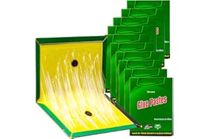 KENVORA Piège Collant - 10 Pièces 31.5 CM x 21 CM Forte Adhérence, Plusieurs Méthodes de Pliage, Efficacité Continue, Facile à Utiliser, Adapté à Une Utilisation Intérieure et Extérieure