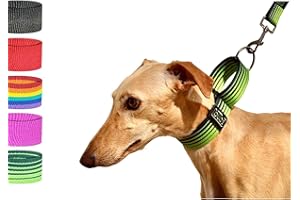 bub's Collar Martingale - Collar para Perro, antialérgico y Suave.Diseñado para Todo Tipo de Razas de Perro y Especialmente para Galgos y Podencos (Verde, L 40 mm Ancho)