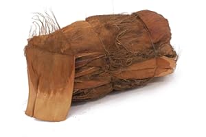 UNBEKANNT EUROPALMS Palmfasermaterial, unbehandelt | Bestens geeignet für eigene Palmendekorationen