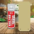 one sixty eight RAL 168 Multipurpose Color Paint Spray, Skin color Spray Paint 400 ml (Beige)